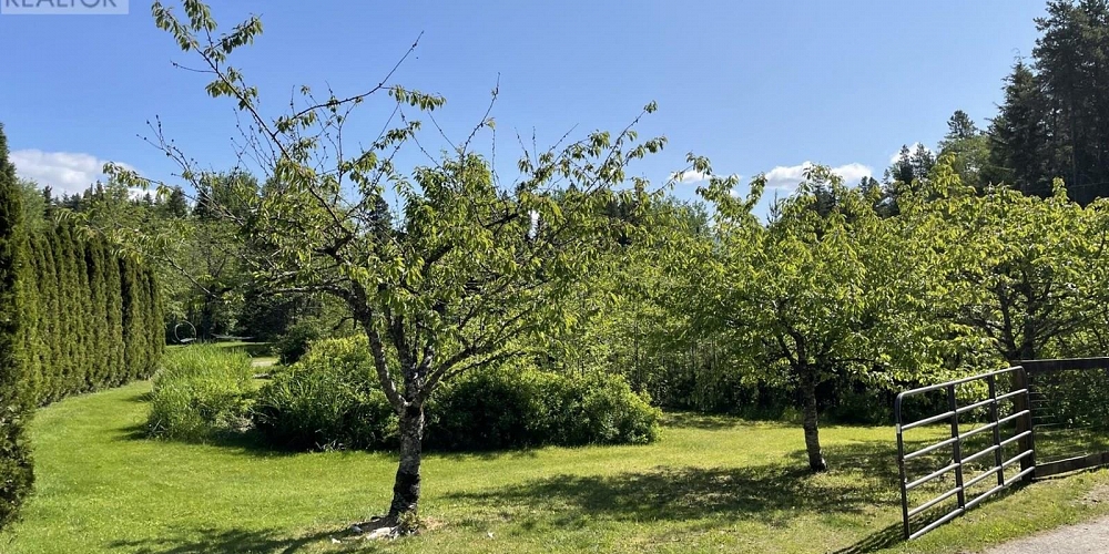 5258 OLD REMO ROAD Terrace Photo 15 5258 OLD REMO ROAD Terrace Photo 15